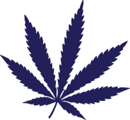 New CBD Revenue Streams
