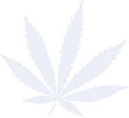 New CBD Revenue Streams